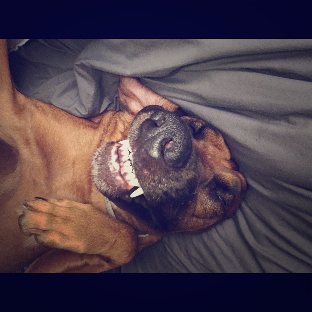 Meet your Posher, Selina